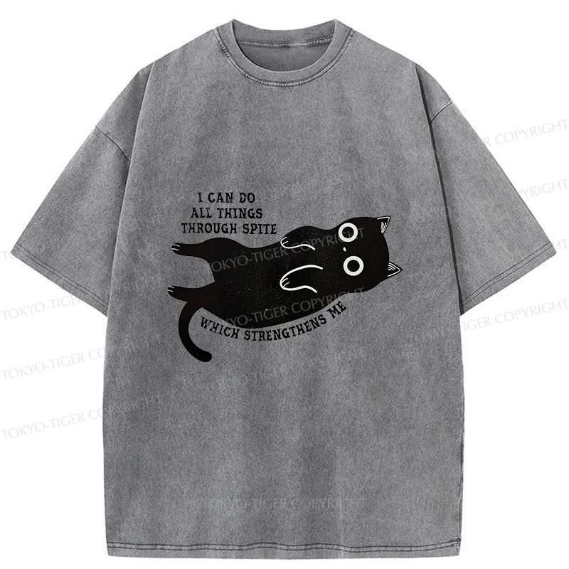 Tokyo-Tiger Cat Can Do All Things Spite Washed T-Shirt