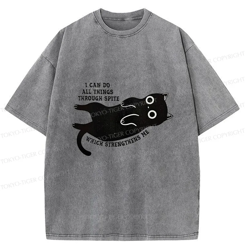 Tokyo-Tiger Cat Can Do All Things Spite Washed T-Shirt