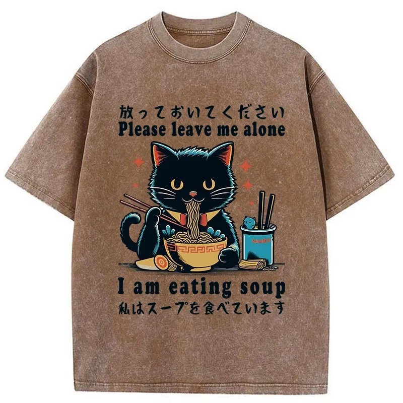Tokyo-Tiger Cat Enchanted By Ramen Washed T-Shirt