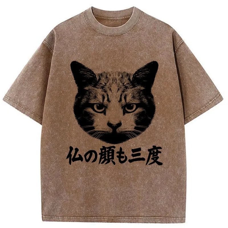 Tokyo-Tiger Cat Hits After Three Messes Washed T-Shirt