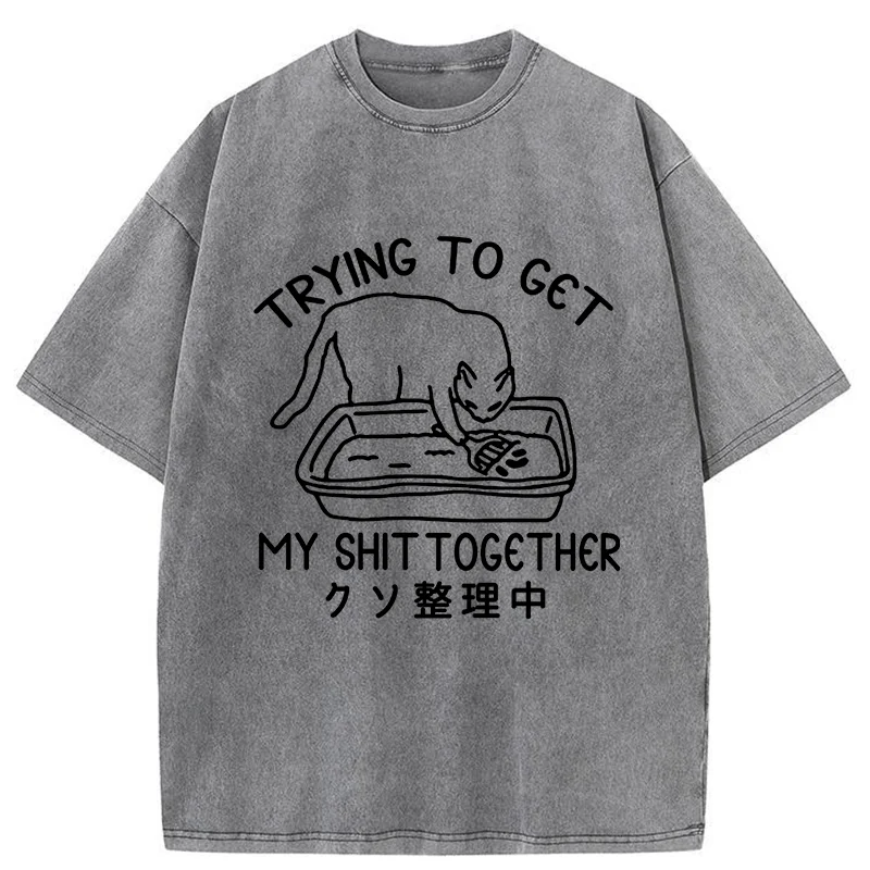 Tokyo-Tiger Cat Cleaning The Toilet Washed T-Shirt