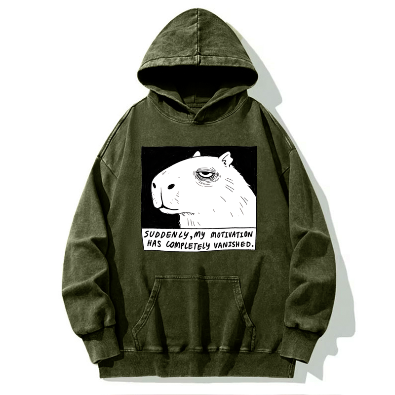 Tokyo-Tiger Power Has Completely Disappeared Washed Hoodie