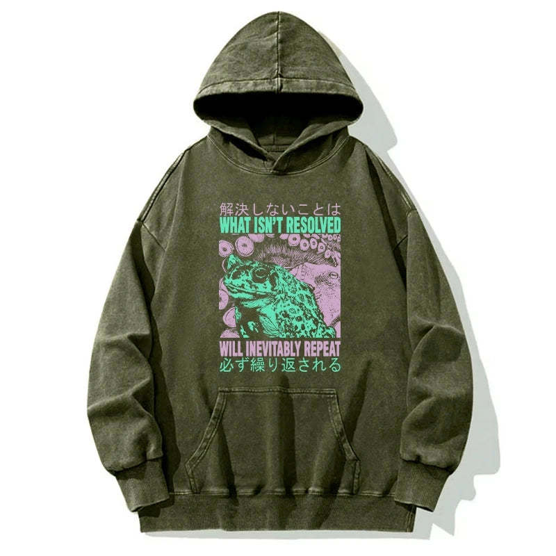 Tokyo-Tiger What Ist Resolved Forg Washed Hoodie