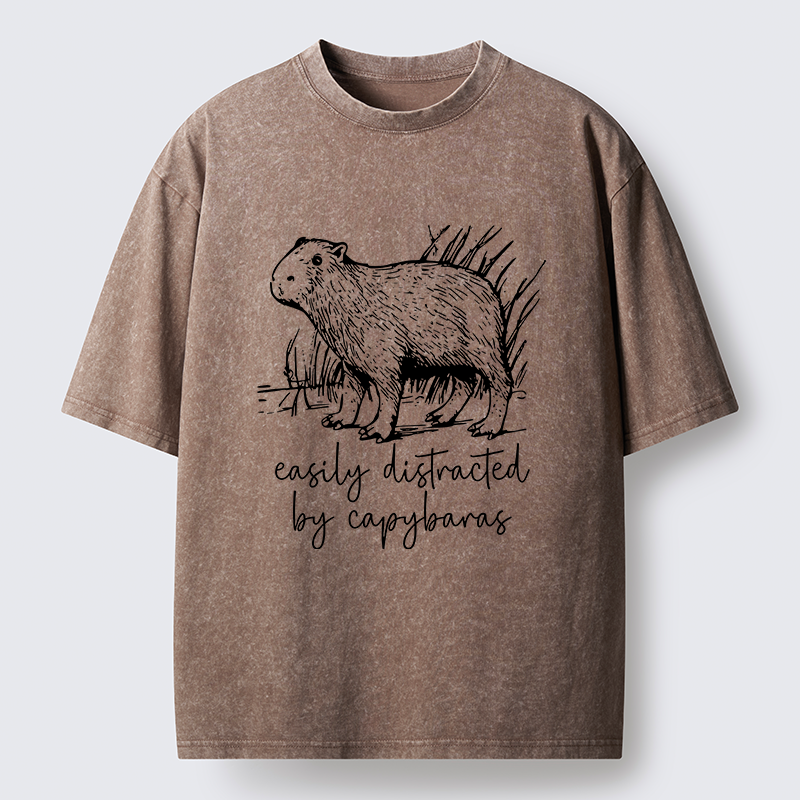 Tokyo-Tiger Capybara Lovers Funny Washed T-Shirt