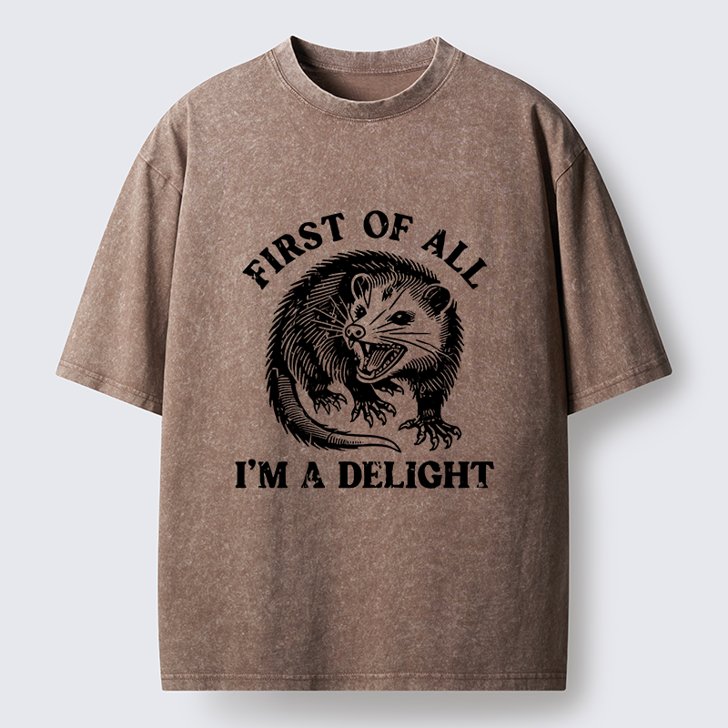 Tokyo-Tiger Delight Possum Meme Washed T-Shirt
