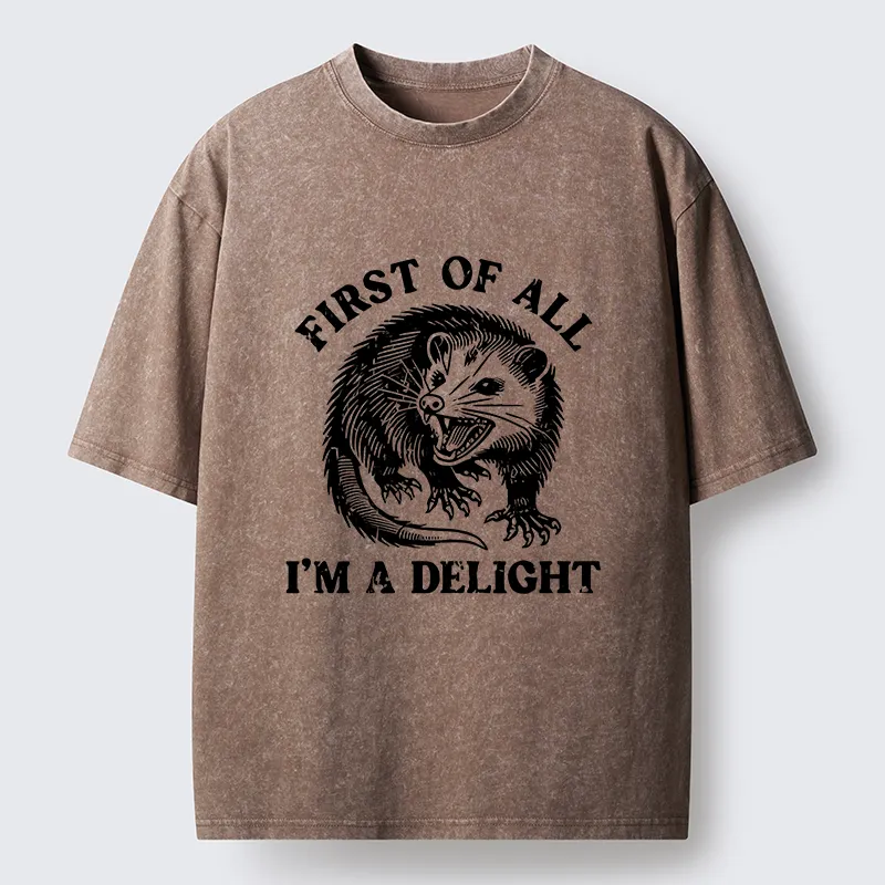 Tokyo-Tiger Delight Possum Meme Washed T-Shirt