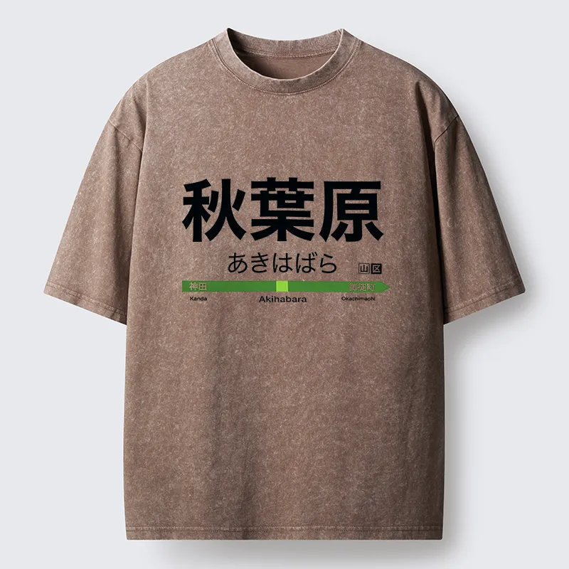 Tokyo-Tiger Japan Akihabara Line Station Washed T-Shirt