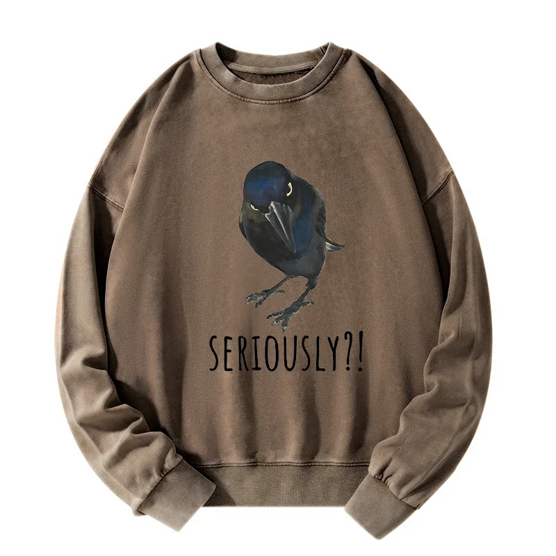 Tokyo-Tiger Raven's Question Washed Sweatshirt