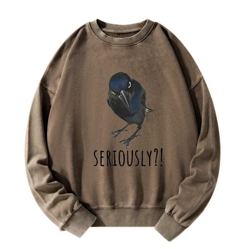 Tokyo-Tiger Raven's Question Washed Sweatshirt