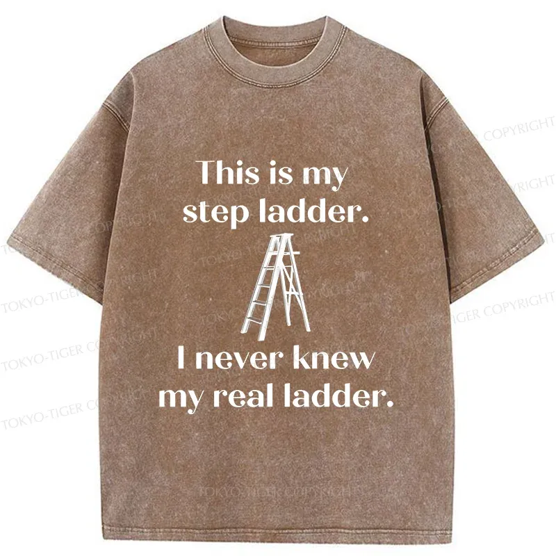 Tokyo-Tiger A Real Ladder Funny Washed T-Shirt