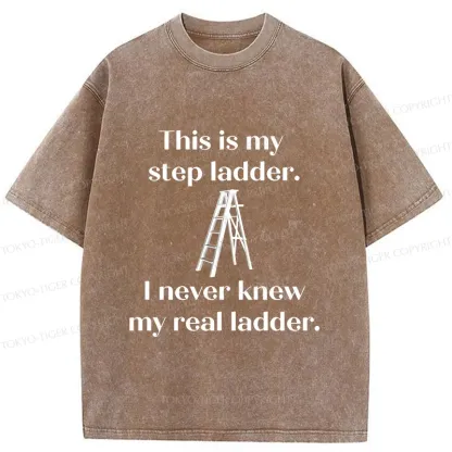 Tokyo-Tiger A Real Ladder Funny Washed T-Shirt