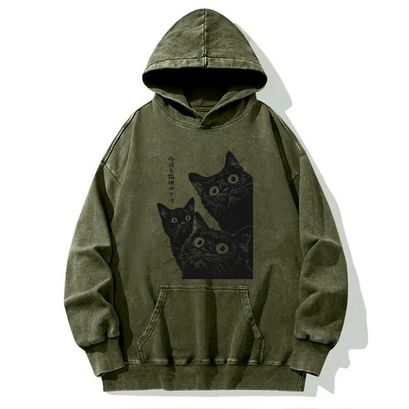 Tokyo-Tiger Three Cats Are Watching You Today Washed Hoodie