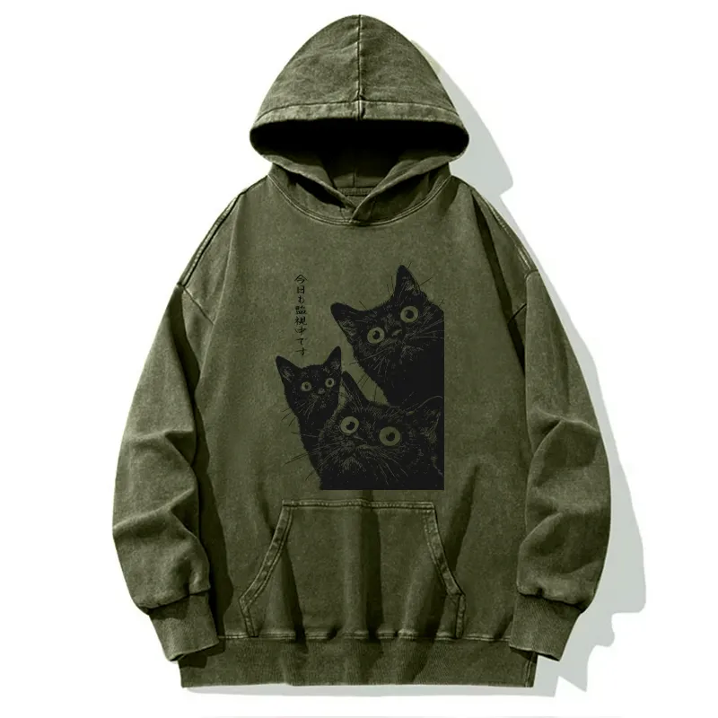 Tokyo-Tiger Three Cats Are Watching You Today Washed Hoodie