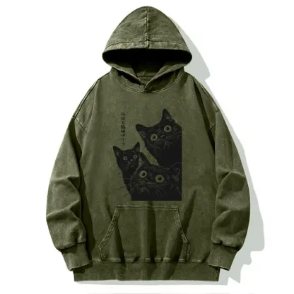 Tokyo-Tiger Three Cats Are Watching You Today Washed Hoodie