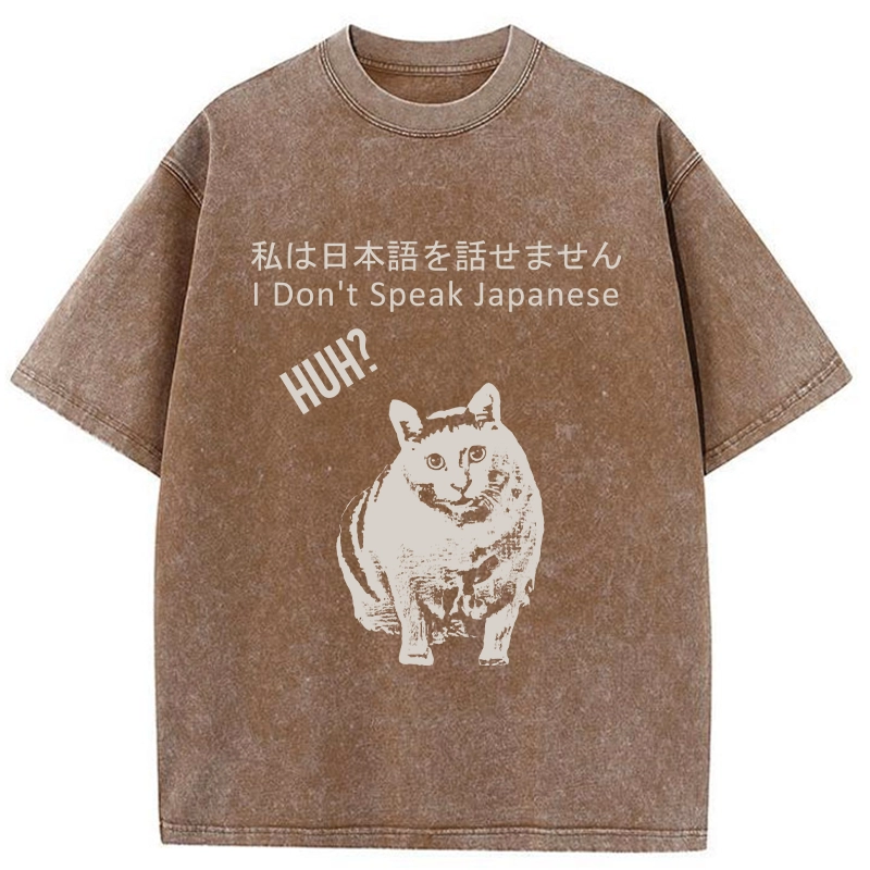 Tokyo-Tiger Cat Doesn't Speak Japanese Washed T-Shirt