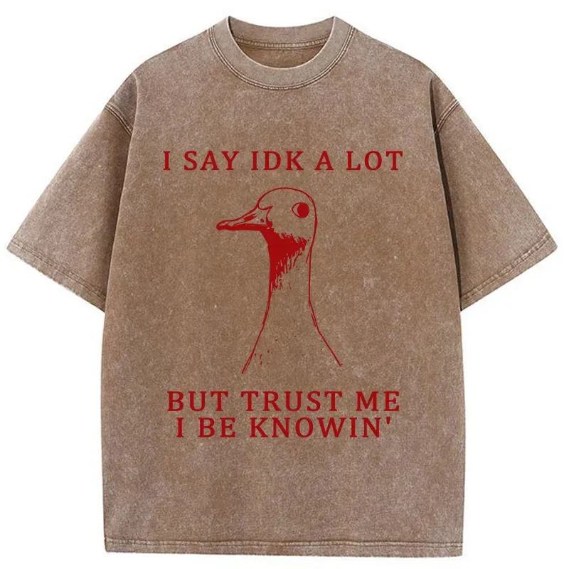 Tokyo-Tiger Silly Goose Understands Everything Washed T-Shirt