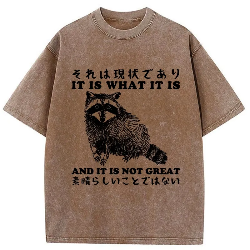 Tokyo-Tiger That Is The Current Situation Washed T-Shirt