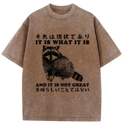 Tokyo-Tiger That Is The Current Situation Washed T-Shirt