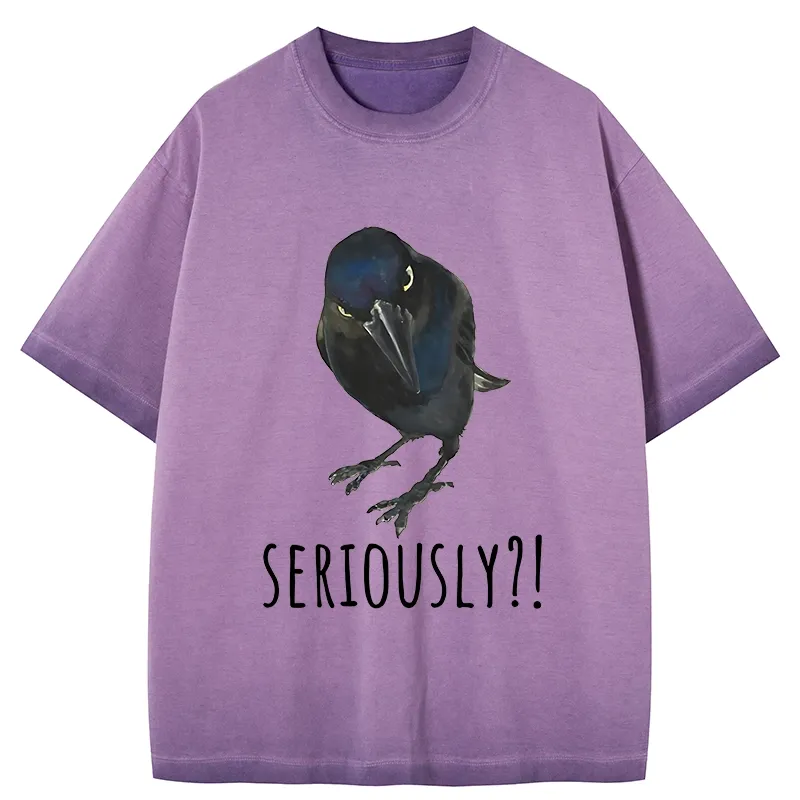 Tokyo-Tiger Raven's Question Gradient Washed T-Shirt