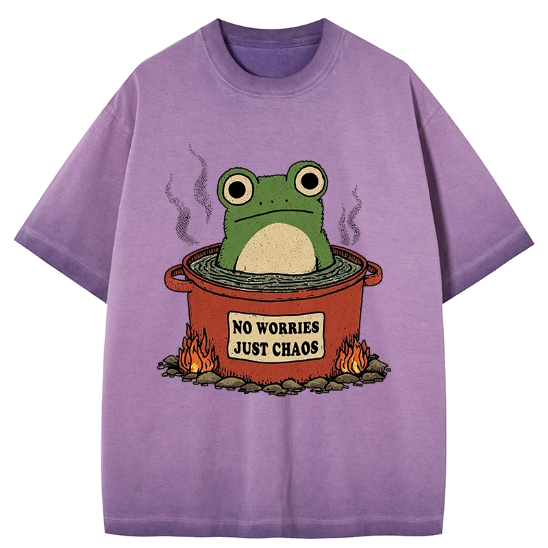 Tokyo-Tiger Frog：No Worries，Just Chaos Gradient Washed T-Shirt