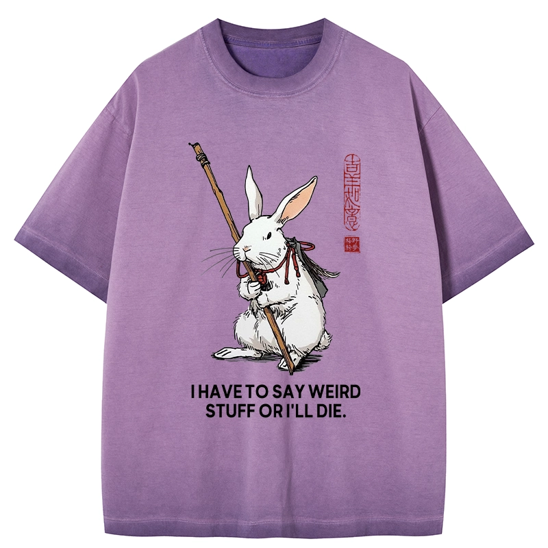 Tokyo-Tiger Rabbit Gotta Say Weird Stuff Or Die Gradient Washed T-Shirt