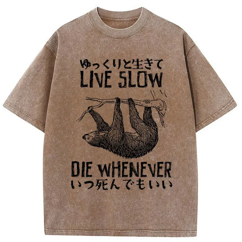 Tokyo-Tiger Slow-living Sloth Washed T-Shirt