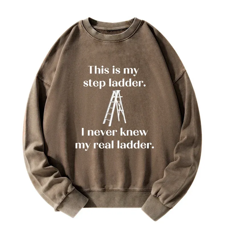 Tokyo-Tiger A Real Ladder Funny Washed Sweatshirt