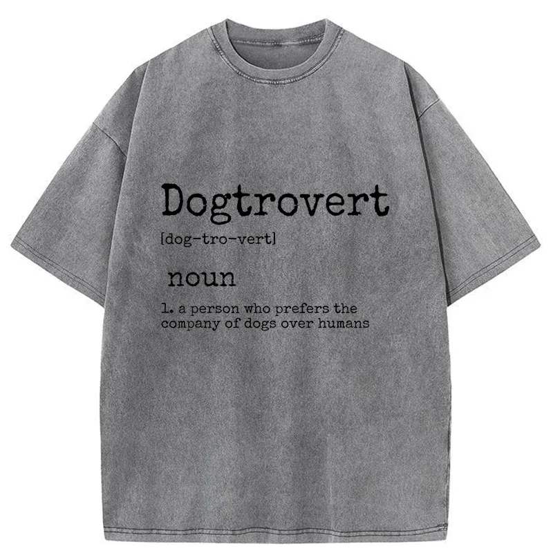 Tokyo-Tiger Dogtrovert Funny Washed T-Shirt