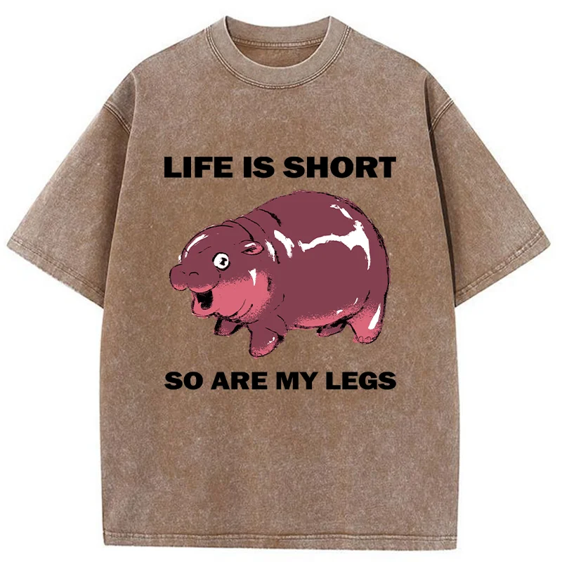 Tokyo-Tiger Short Legs Short Life Washed T-Shirt
