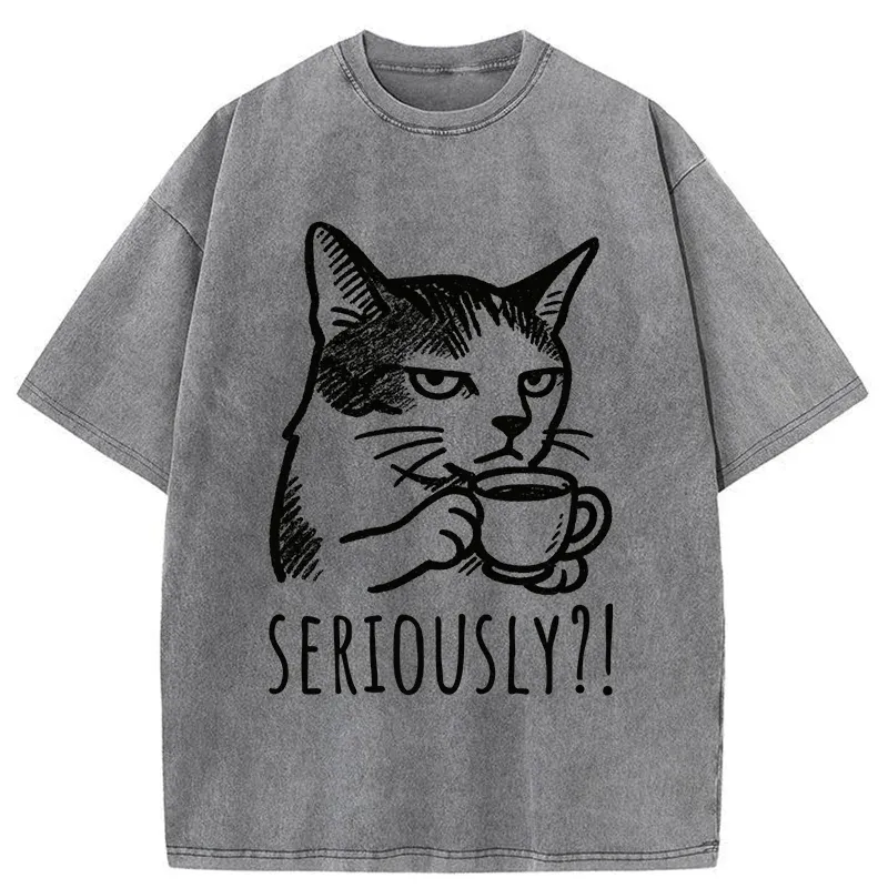 Tokyo-Tiger Cat's Suspicion Washed T-Shirt
