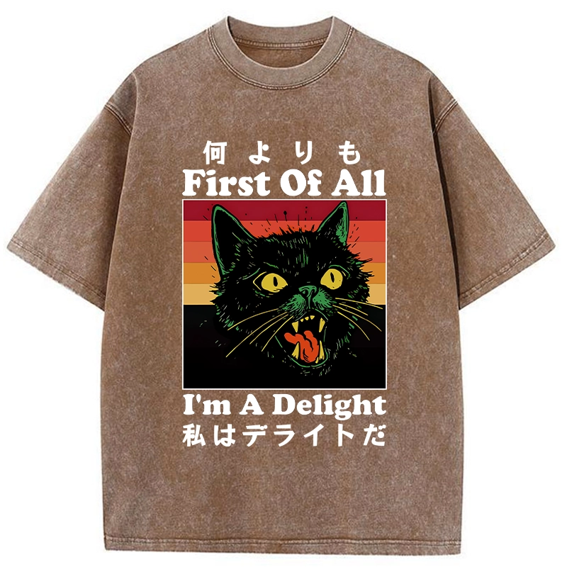 Tokyo-Tiger I'm A Delight Washed T-Shirt