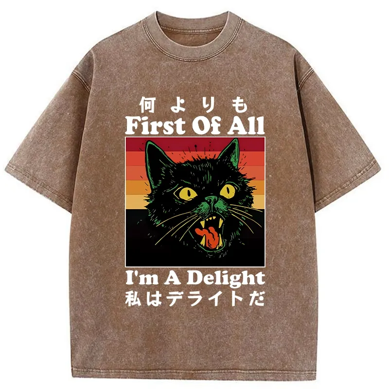 Tokyo-Tiger I'm A Delight Washed T-Shirt