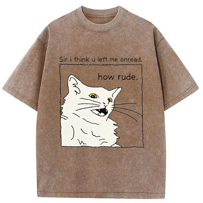 Tokyo-Tiger Cat That Condemn Humans Washed T-Shirt