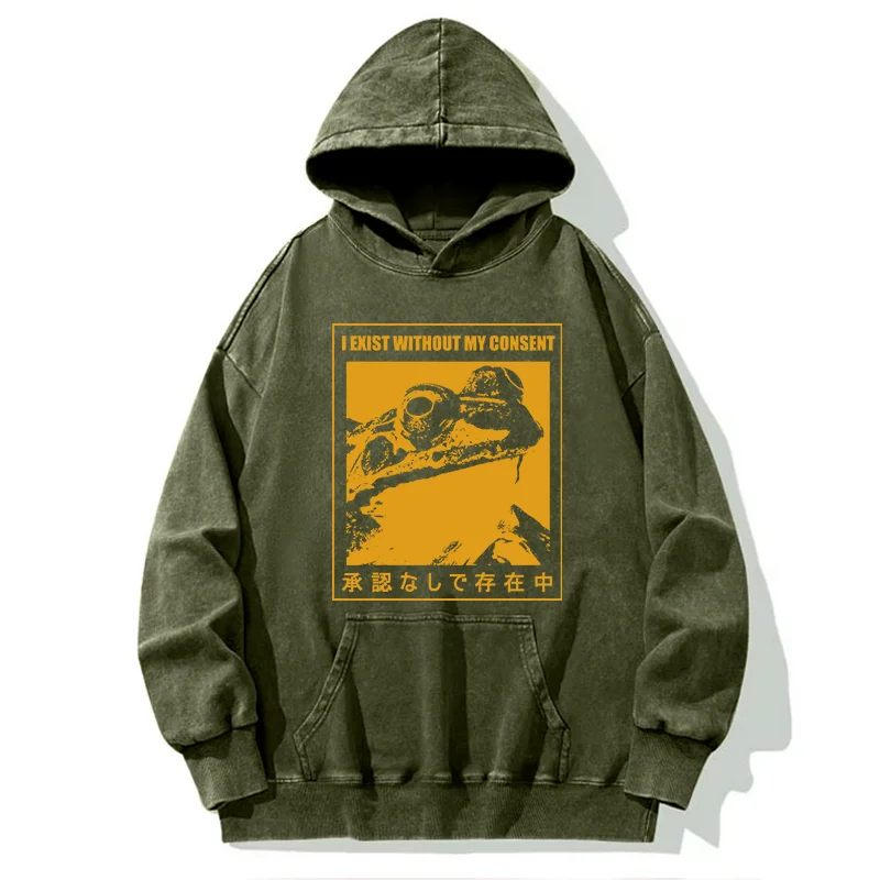 Tokyo-Tiger Unauthorized Existence Washed Hoodie