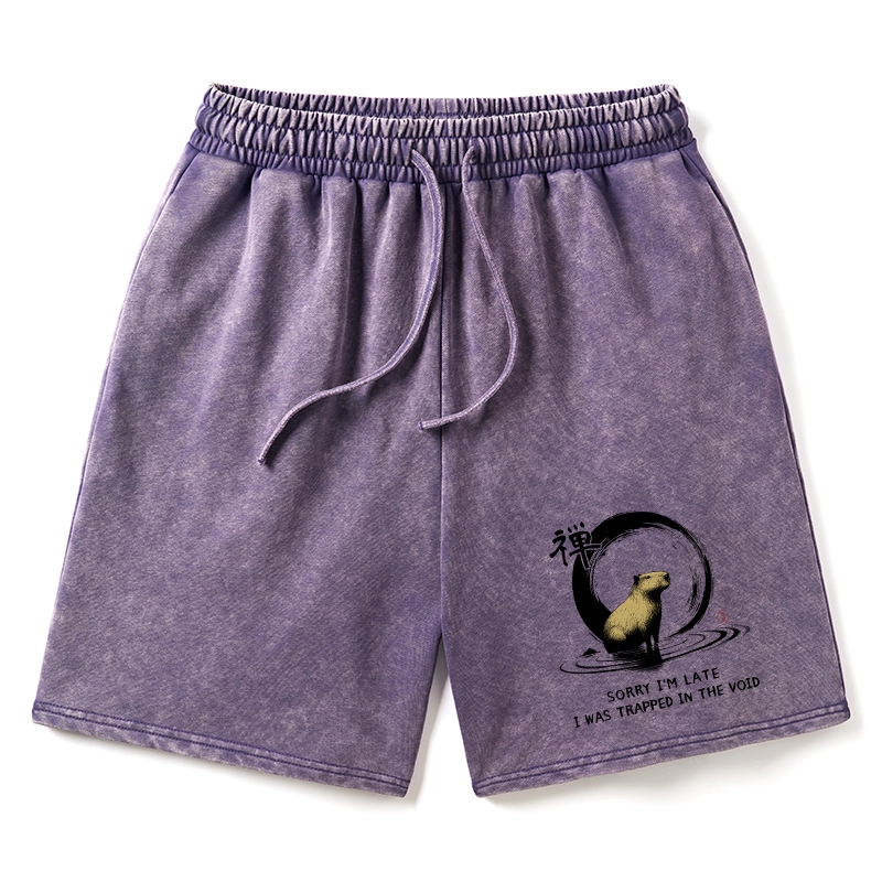 Tokyo-Tiger Zen Capybara Was Trapped In The Void Washed Shorts