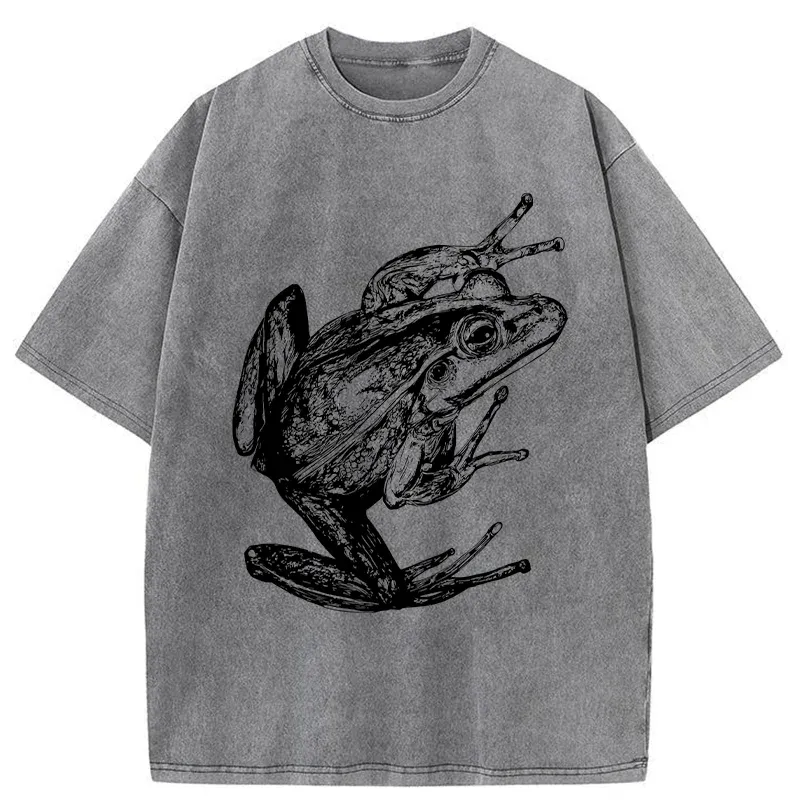 Tokyo-Tiger Retro Frog Japanese Washed T-Shirt