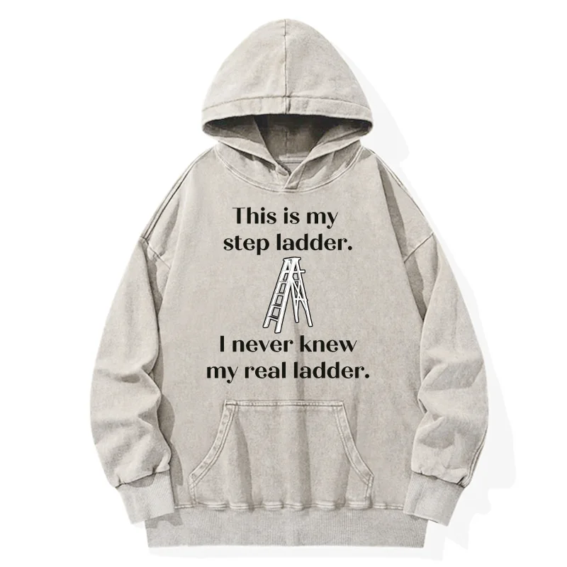 Tokyo-Tiger A Real Ladder Funny Washed Hoodie