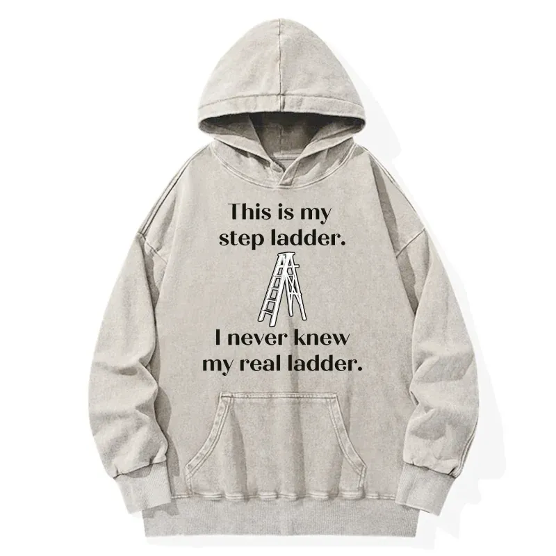 Tokyo-Tiger A Real Ladder Funny Washed Hoodie