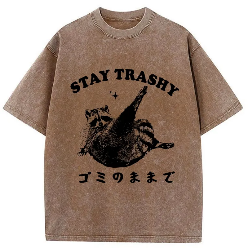 Tokyo-Tiger Raccoon Stay Trashy Washed T-Shirt Sale