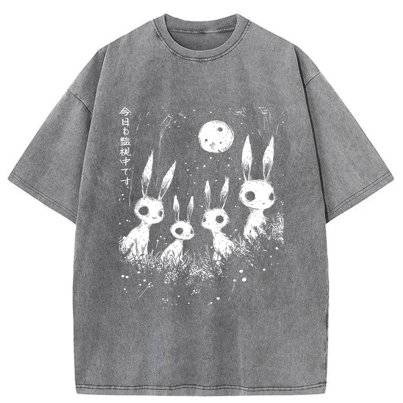 Tokyo-Tiger Rabbit Is Watching You Washed T-Shirt