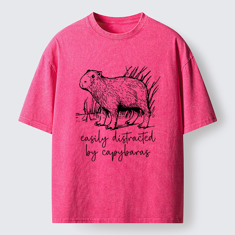 Tokyo-Tiger Capybara Lovers Funny Washed T-Shirt