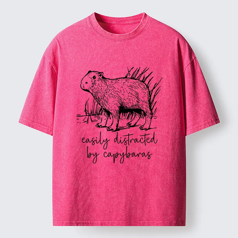 Tokyo-Tiger Capybara Lovers Funny Washed T-Shirt