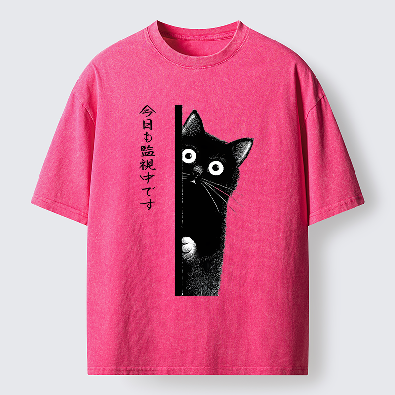 Tokyo-Tiger A Black Cat Is Watching You Washed T-Shirt