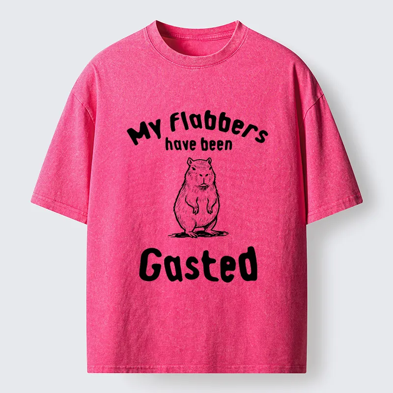 Tokyo-Tiger My Flabbers Have Been Gasted Capybara Washed T-Shirt