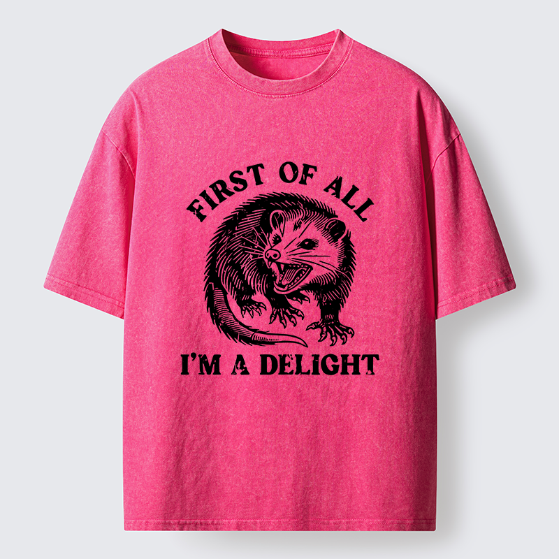 Tokyo-Tiger Delight Possum Meme Washed T-Shirt