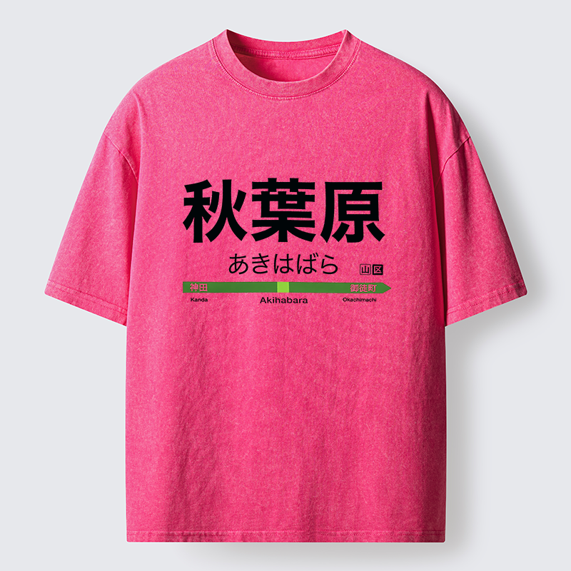 Tokyo-Tiger Japan Akihabara Line Station Washed T-Shirt