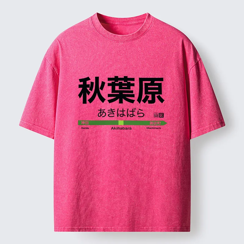 Tokyo-Tiger Japan Akihabara Line Station Washed T-Shirt