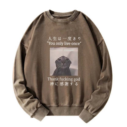 Tokyo-Tiger Funny Melancholy Cat Washed Sweatshirt