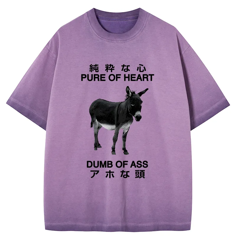 Tokyo-Tiger Pure Of Heart Dumb Of Ass Gradient Washed T-Shirt