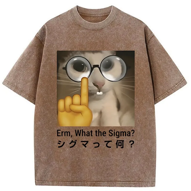 Tokyo-Tiger Erm What The Sigma Washed T-Shirt